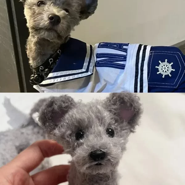 Custom Stuffed Animals Charm - Image 6