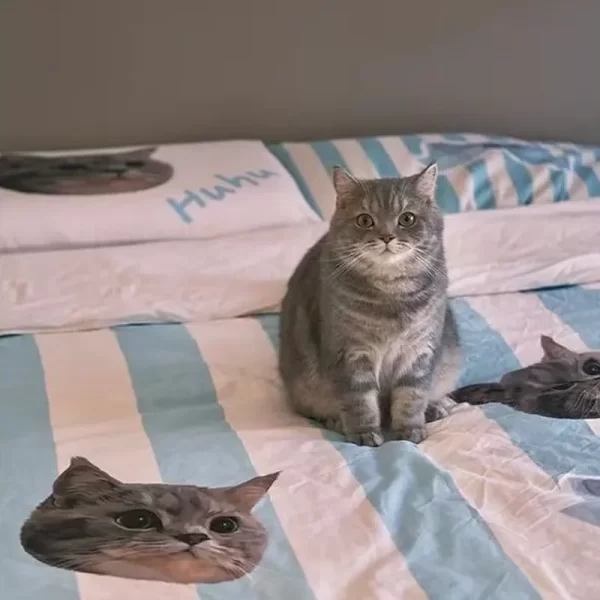 Custom Pet 4-piece bed set - Image 4