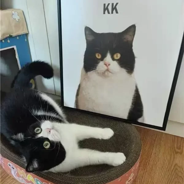 Custom Memorial Portrait For One Pet - Image 5