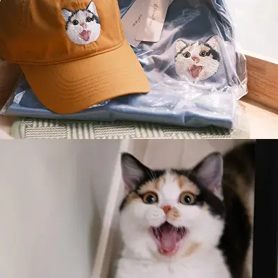 pro_hat_feedback_01