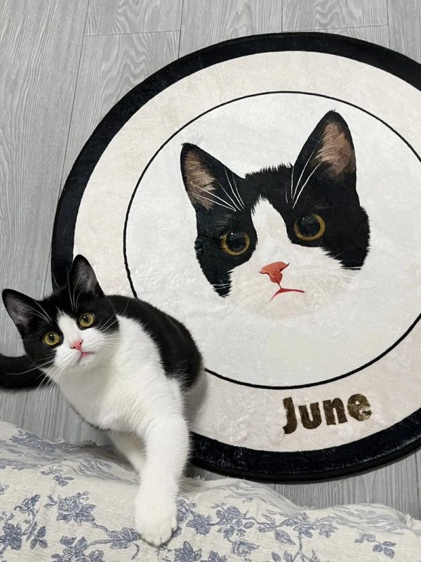 Custom Pet Rug - Image 5