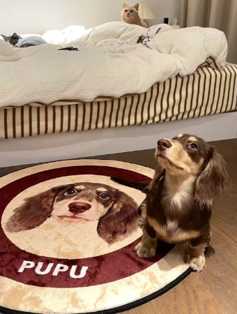 pet-rug-detail-02_WH_340x450px